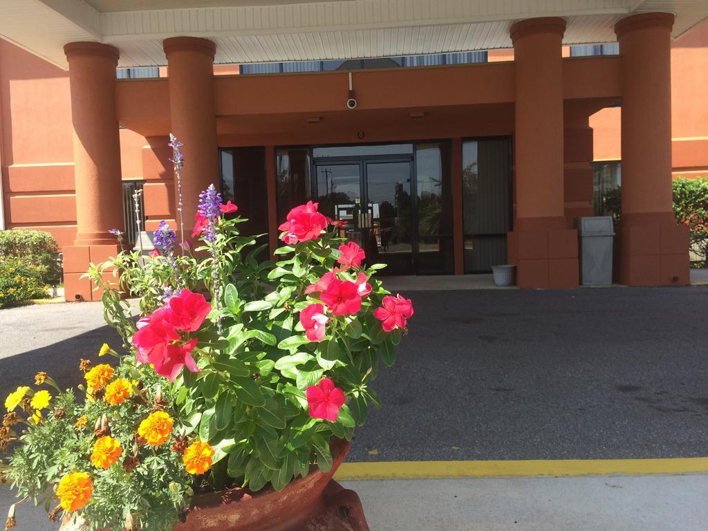 Luxury Suites Ferry Pass Dış mekan fotoğraf